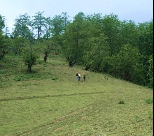 云縣茂蘭鎮撥還河村陳家自然村