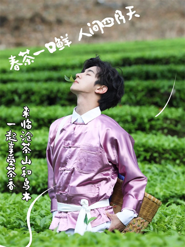 云南旅游,云南旅行社,云南團建公司,云南策劃公司,云南會議公司,云南會展公司,臨滄旅游,臨滄旅行社,臨滄團建公司,臨滄策劃公司：臨滄茶旅日記｜@鳥木的茶山治愈行