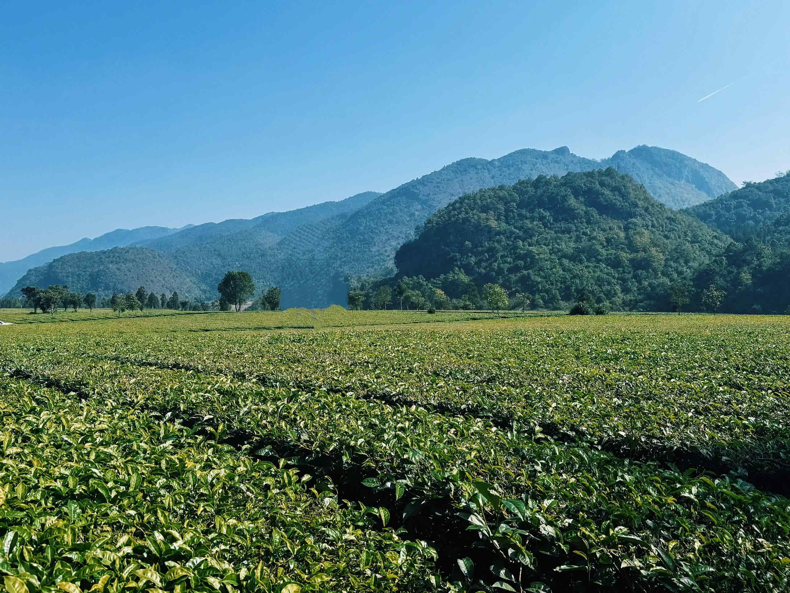 云南團建公司,云南會議公司,云南策劃公司,臨滄旅游：滇西秘境·山水藏珍味，煙火映風情